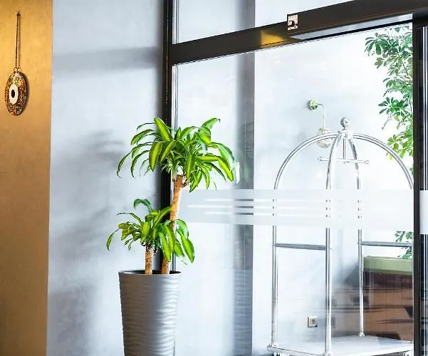 Nova Vista Deluxe & A Member Of Radisson Individuals Hotel