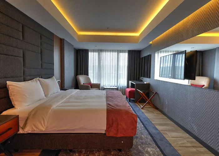 Nova Vista Deluxe & A Member Of Radisson Individuals Hotel